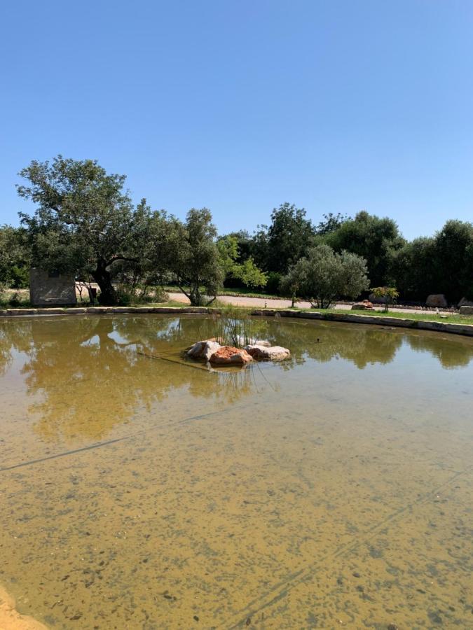 Casa Branca ξενώνας Ταβίρα Εξωτερικό φωτογραφία